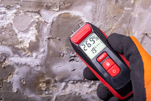 Best Post-Flood Mold Remediation in Harpersville, AL