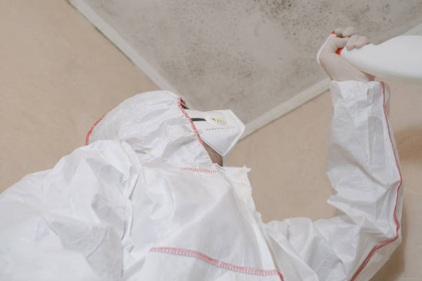 Best HVAC Mold Remediation in Harpersville, AL