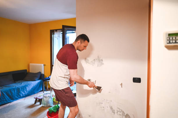 Best Insurance-Related Mold Remediation in Harpersville, AL